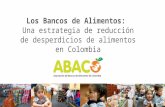 Colombia. abaco. ana catalina suarez