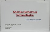 Anemia hemolítica inmunológica