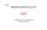 PRESENTACION AMZ-001-09