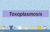 Proyecto Toxoplasmosis Columbus University