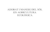 Adobat i maneig del sòl en agricultura ecològica