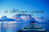 My Electronic Learning Experience2