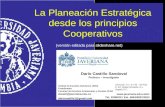 Planeación estratética en cooperativas principios y desafíos d_castillo_2010