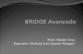 Bridges Avanzadas