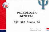 Psi 300 psicología general