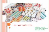Los antibioticos