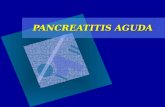 Pancreatitis aguda 2011