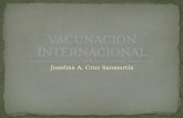Vacunaci³N Internacional