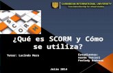 Scorm project