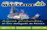 Oil & Gas Magazine Enero 2014