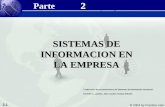 Clases de Sistemas de Información en las Empresas