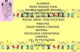 Psicologia comunitaria (la comunidad)