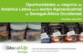 Oportunidades de negocio de América Latina en el sector Agroindustrial en Senegal-África Occidental