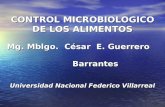 Control Microbiologico de Los Alimentos-clase Mcs-2009-IV