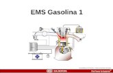 EMS Gasoline 1