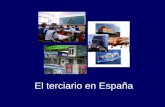 Los servicios en España