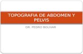 13.) Topografía de Abdomen y Pélvis - Prof. Pedro Bolívar (2)