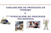 Evaluación de Procesos de Trabajo e Identificación de Procesos Peligrosos