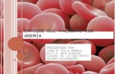 Enfoque Del Paciente Con Anemia