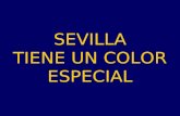 Espana Sevilla Tiene Un Color Especial 2