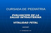 Salud Fetal Monitoreo