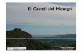 El Castell del Montgrí - Informació prèvia-1