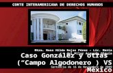 Taller para la Difusión de la Sentencia Caso González y otras ("Campo Algodonero") VS México