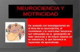 Neurociencia y motricidad