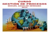 Curso Gestión de Procesos FEB.2014 - Dr. Miguel Aguilar Serrano