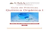 Quimica Organica I - Guia de Prácticas