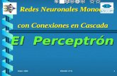 Redes Neuronales Monocapa con Conexiones en Cascada PERCEPTRON