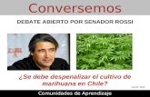 Debate abierto por senador Rossi: ¿Se debe despenalizar el cultivo de marihuana en Chile?