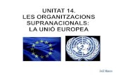 Unitat14 lesorganitzacionssupranacionals-laue-120315140204-phpapp02
