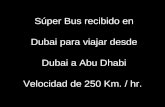 Súper bus en Dubai