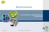 BIOMIMESIS: Bioinspirado en la naturaleza