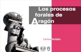 Procesos forales de Aragón