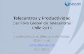 20110405 presentacion makaia tlc para la productividad