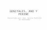 Semiologia de genitales