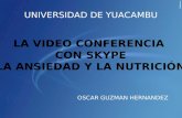 Video conferencia skype