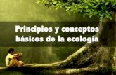 Principios y conceptos básicos de la ecología