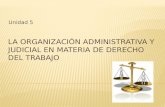 La organización administrativa y judicial en materia de