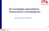 Complejo parasitario soluciones estratégicas colombia memorias MSD Salud Animal salud Antiparasitarios