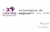 Estrategias de negocio utilizando las redes - Colombia 3.0
