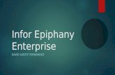 Infor epiphany CRM
