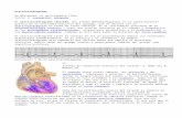 Electrocardiograma Fases de Repolarizacion Miocardica