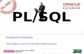 Presentacion PL/SQL