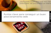Tea&Marketing - El posicionamiento web. Edición 2009