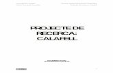 Projecte final de recerca Fons de Desenvolupament Sostenible: Calafell