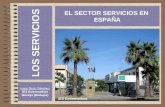 Los Servicios en España