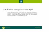C1 Cultura, participació i civisme digital